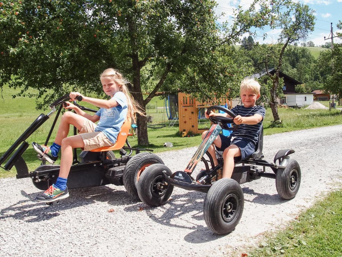 Biobauernhof Stegerbauer Apartman Maria Alm am Steinernen Meer Kültér fotó