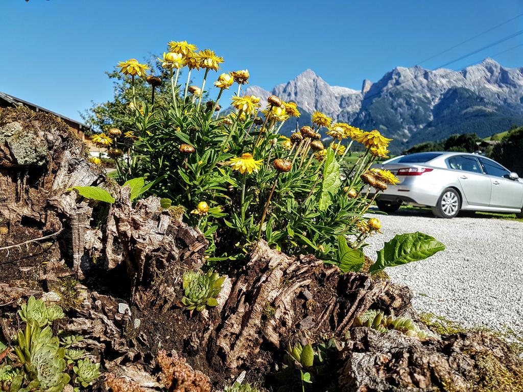 Biobauernhof Stegerbauer Apartman Maria Alm am Steinernen Meer Kültér fotó