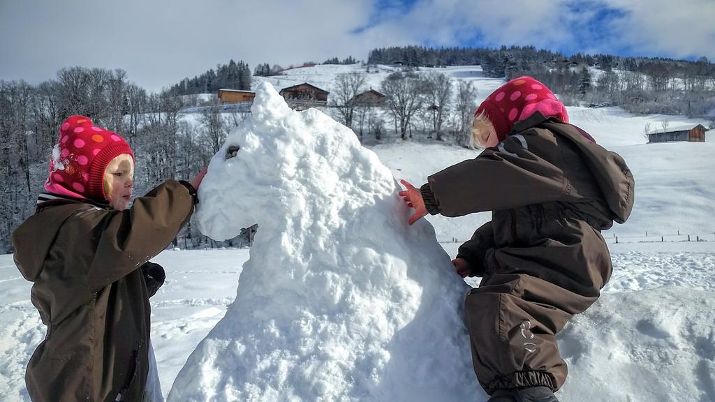 Biobauernhof Stegerbauer Apartman Maria Alm am Steinernen Meer Kültér fotó